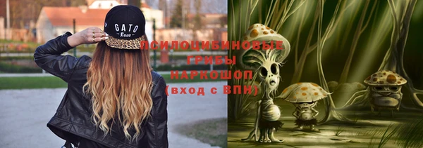 стафф Ростов