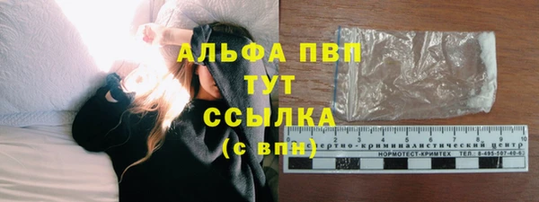 стафф Ростов