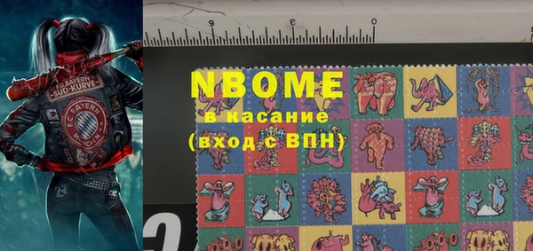стафф Ростов