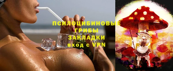 стафф Ростов