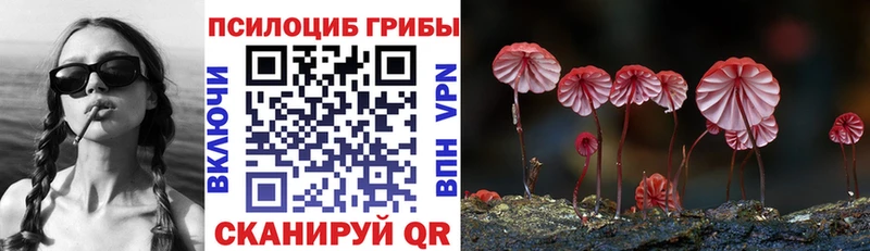 где найти наркотики Чебаркуль Галлюциногенные грибы Psilocybine cubensis