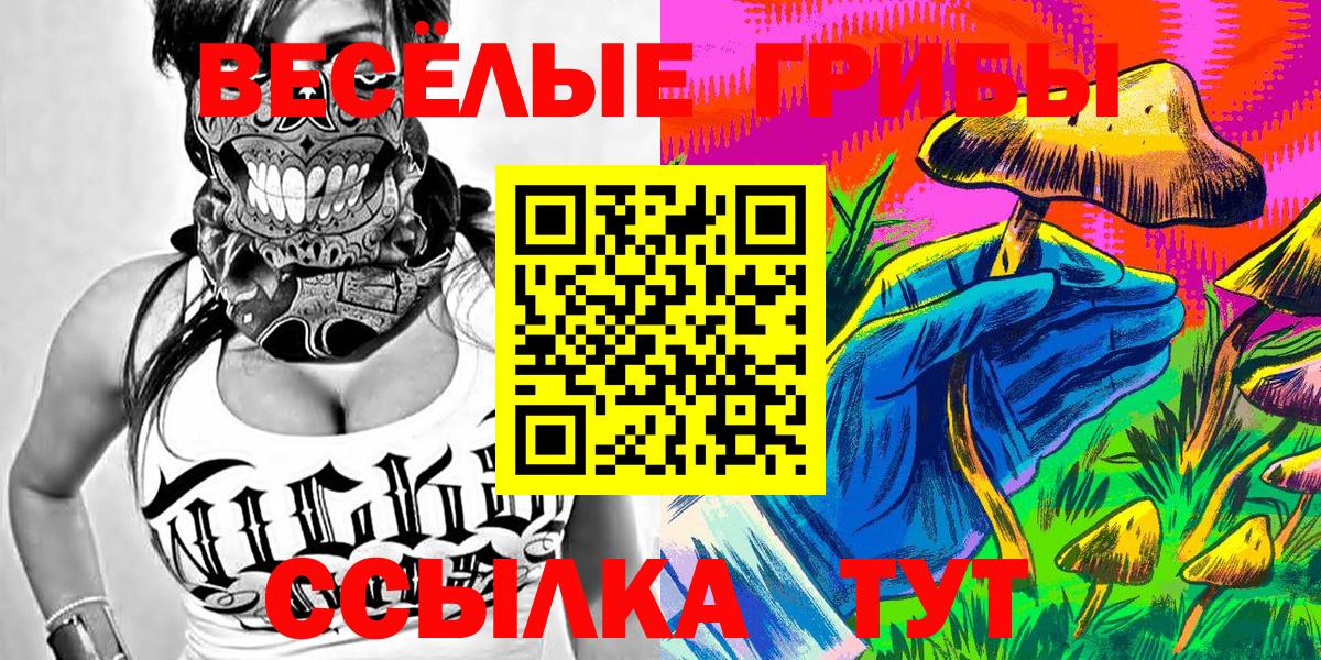 Чебаркуль  купить закладку  Вход с VPN  Галлюциногенные грибы мицелий 