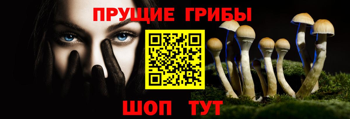 Псилоцибиновые грибы GOLDEN TEACHER Чебаркуль