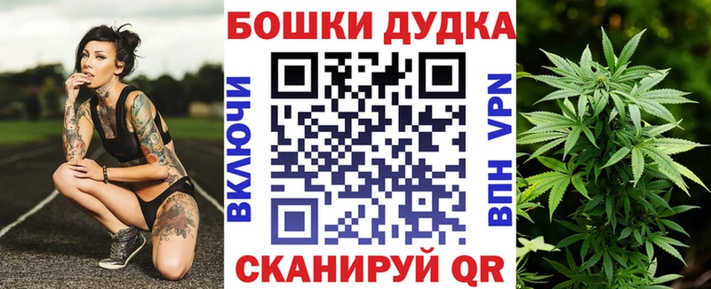 Канабис планчик мега tor Чебаркуль где купить наркоту